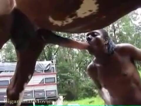 epic horse fuckwith africa girl very more cumshot and get wet every hole 4